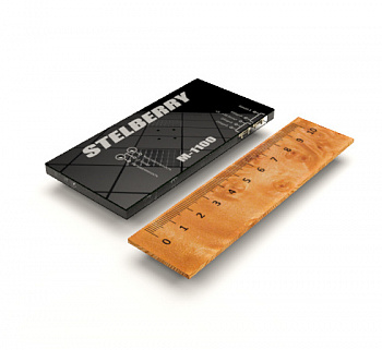 Активный двунаправленный микрофон STELBERRY M-1100  Активный двунаправленный микрофон STELBERRY M-1100