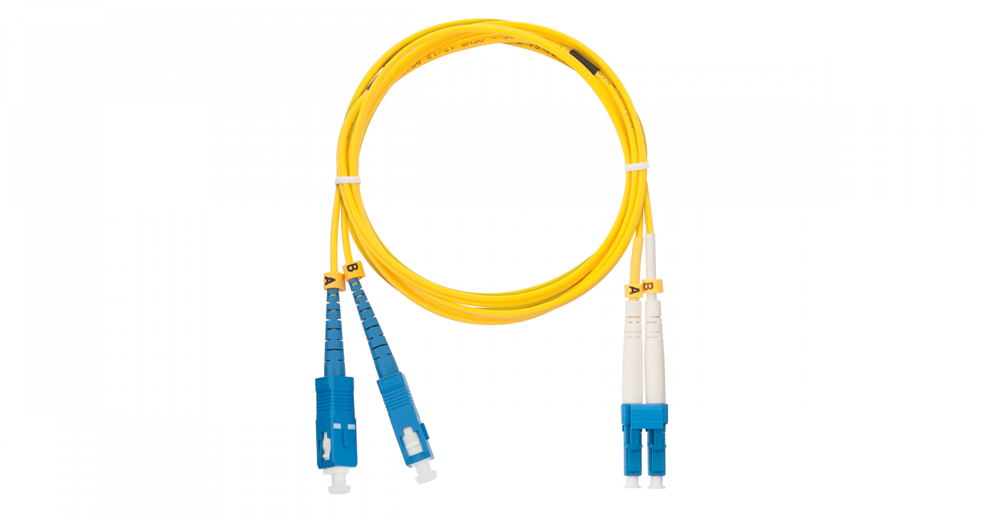 f1s8aou1skuuz1xevxzqd7yhc6rd25fn