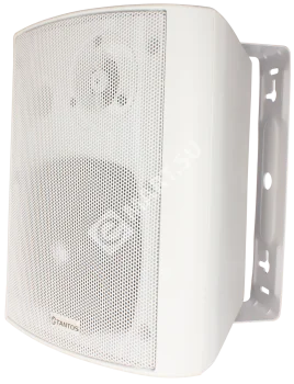 Tantos TSo-SW15k Громкоговоритель