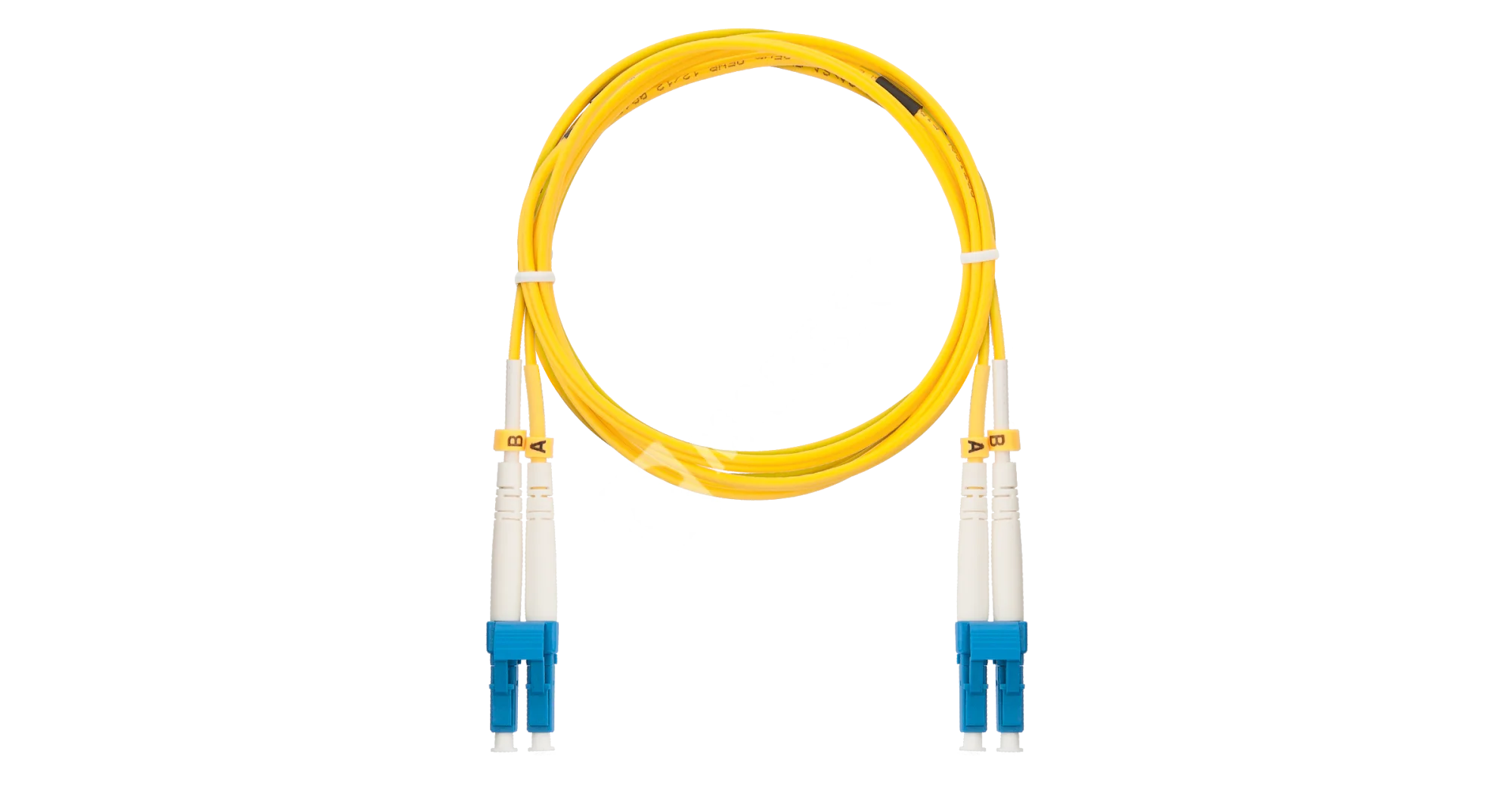 0pwwntrrz31uucdncii5mlfp74e9d51e